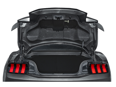 2024 Ford Mustang GT GT Performance Pkg