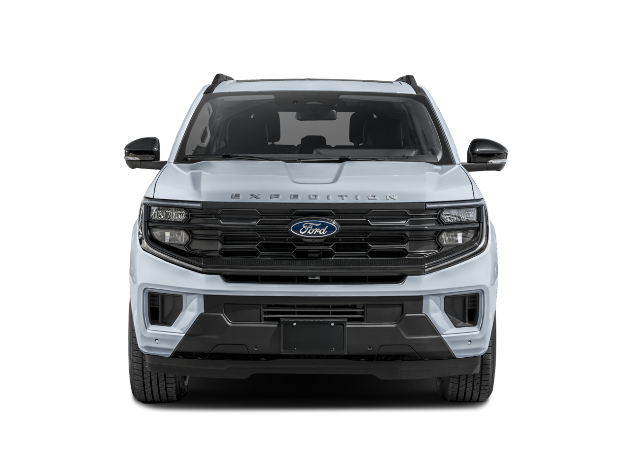 2025 Ford Expedition Active Navigation System