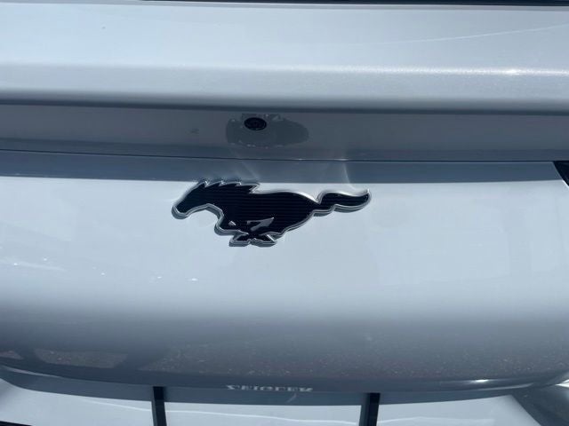2023 Ford Mustang Mach-E Premium AWD