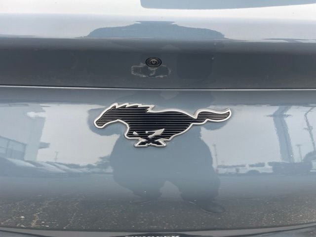 2023 Ford Mustang Mach-E Premium AWD
