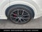 2021 Audi Q8 55 Prestige S-LINE PLUS PACKAGE