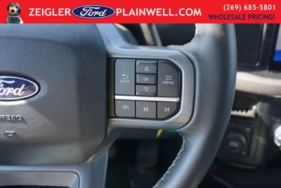 2025 Ford F-150 XLT Crew Cab 4x4 Blis 3.5L Ecoboost 18" CHROME-LIKE PV